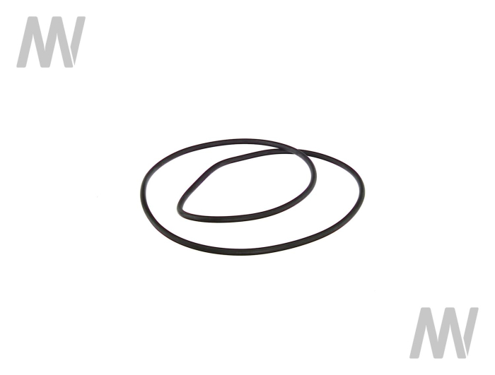 O-Ring - Detail 1