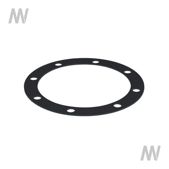 GASKET - Detail 1
