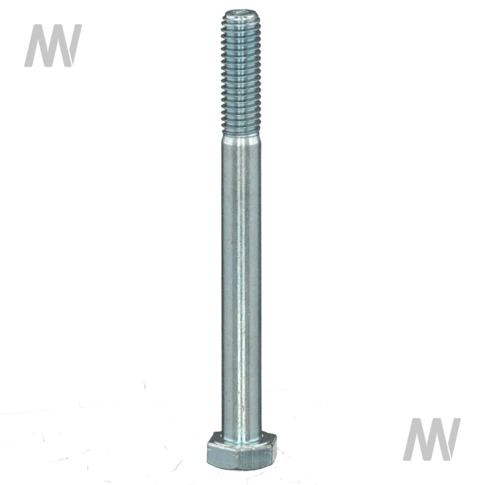 Screw - Detail 1