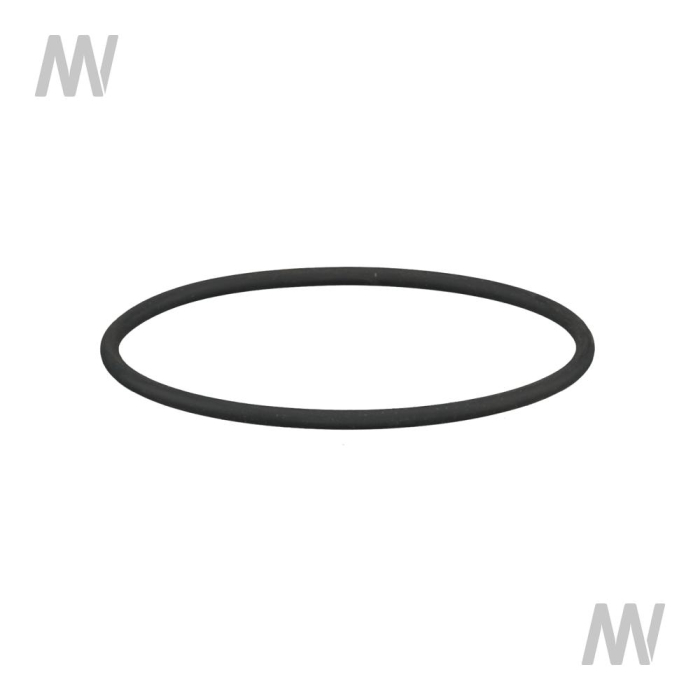 O-Ring - Detail 1