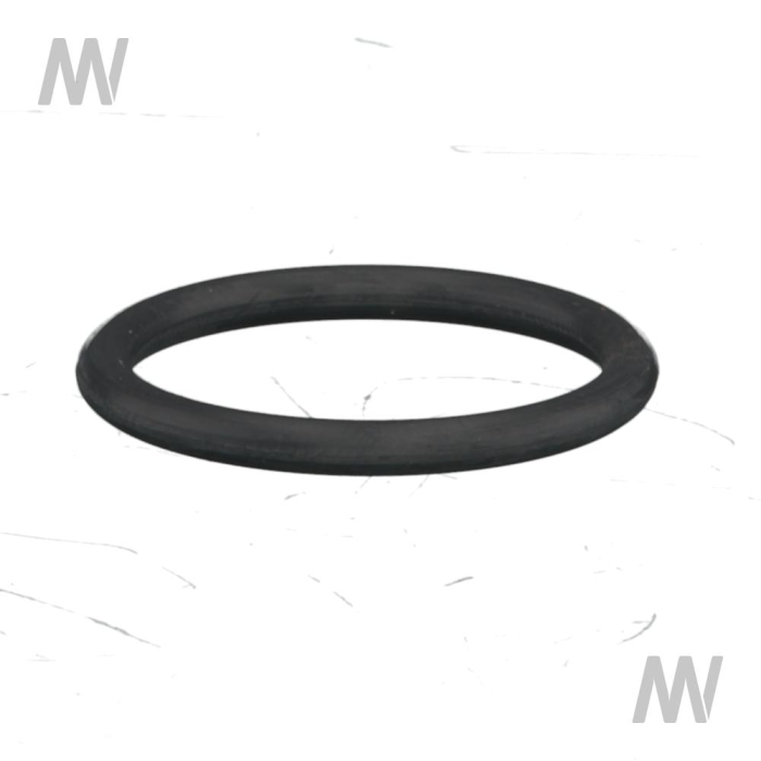 O RING - Detail 1