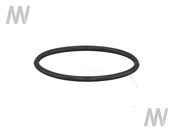 O-Ring - Detail 1