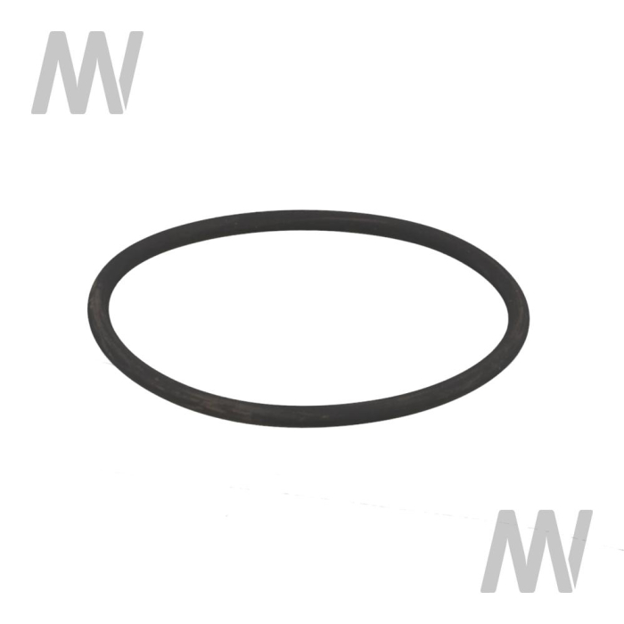 O-Ring - Detail 1