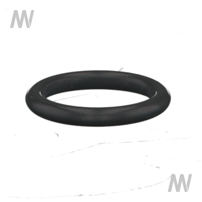 O-Ring - Detail 1