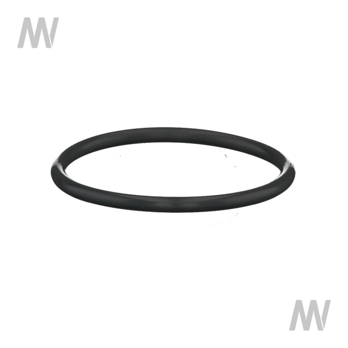O-Ring - Detail 1