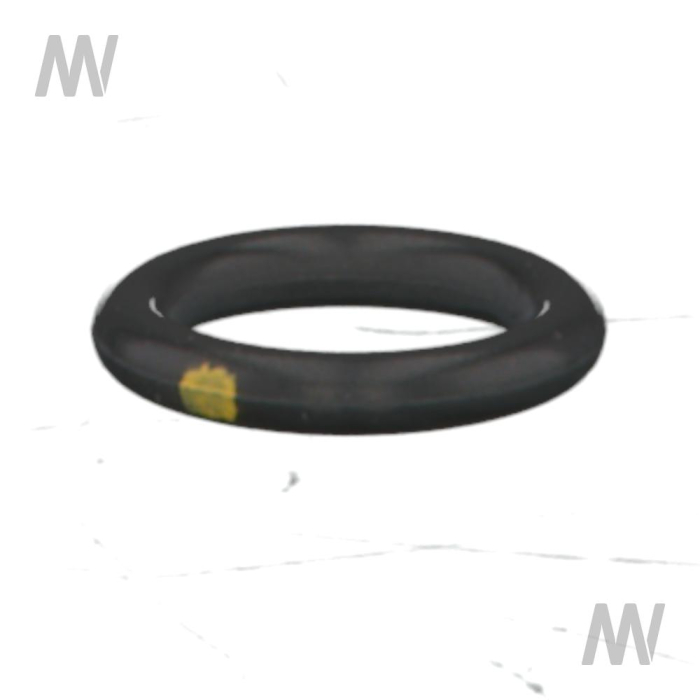 O-Ring - Detail 1