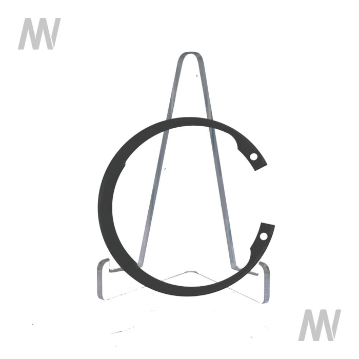 FEDERRING - Detail 1