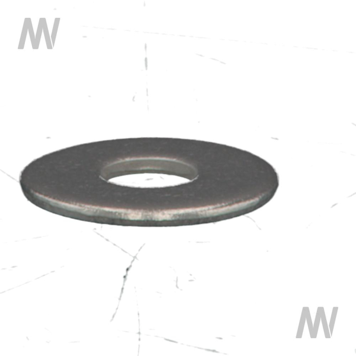 RING - Detail 1