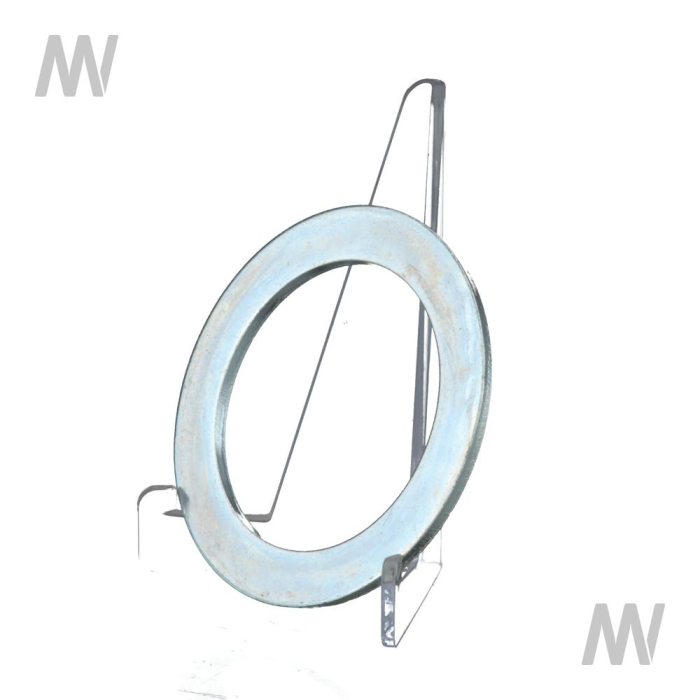 RING - Detail 1