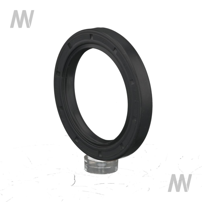 Radial Wellendichtring - Detail 1