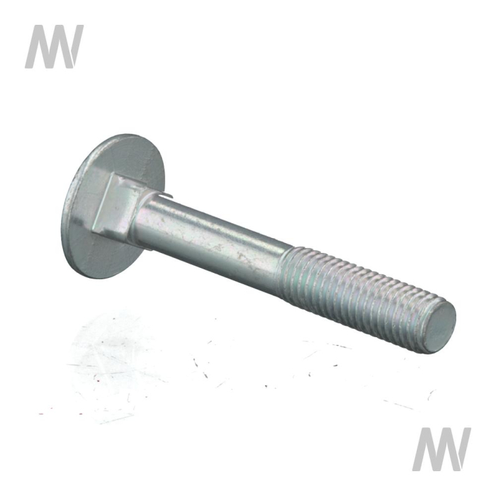 Flachrundschraube M12x80 8.8 VZ. - Detail 1