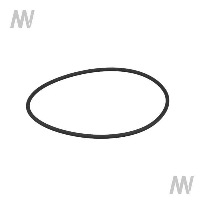 O-Ring - Detail 1