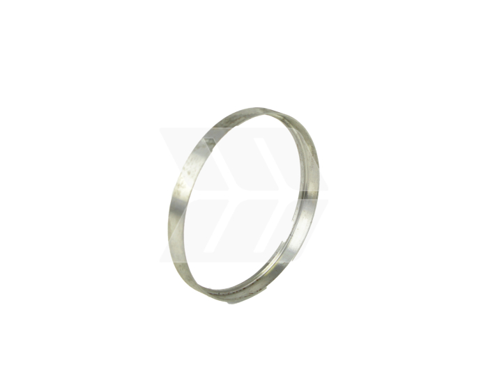 Ring - Detail 1
