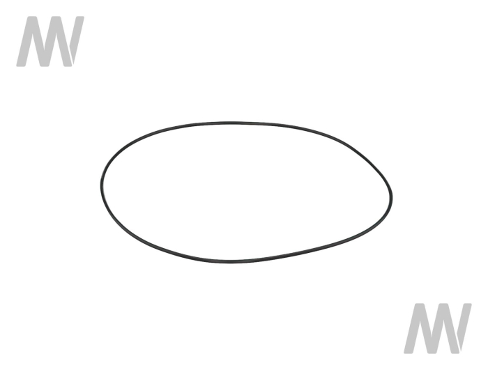 O-ring - Detail 1