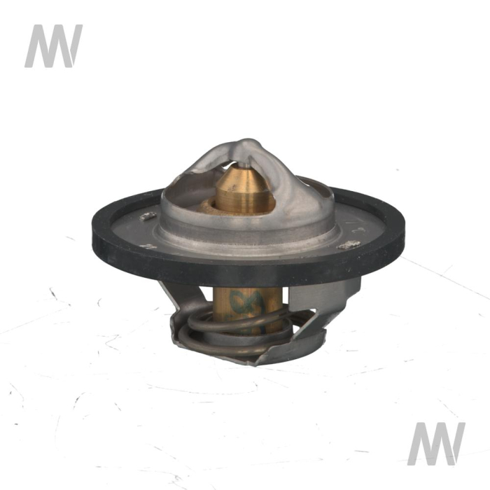 Thermostat - Detail 1