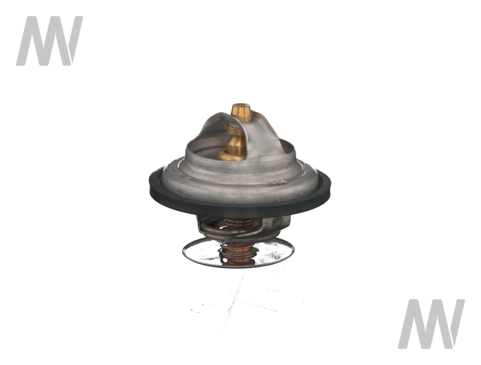 Thermostat - Detail 1