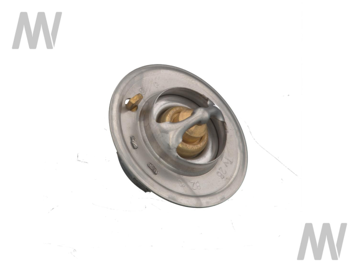 Thermostat - Detail 1