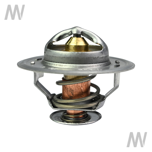 Thermostat - Detail 1