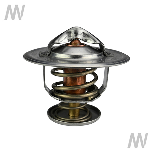 Thermostat - Detail 1