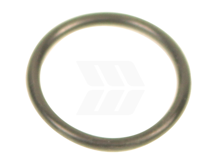 O-Ring - Detail 1