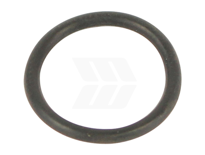 O-Ring - Detail 1