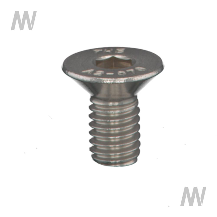 SCHRAUBE  M6X12 DIN 7991 - Detail 1