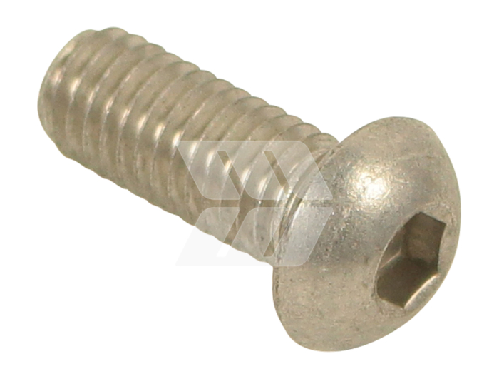 HALBRUNDSCHR.MISK M8X20 VA - Detail 1