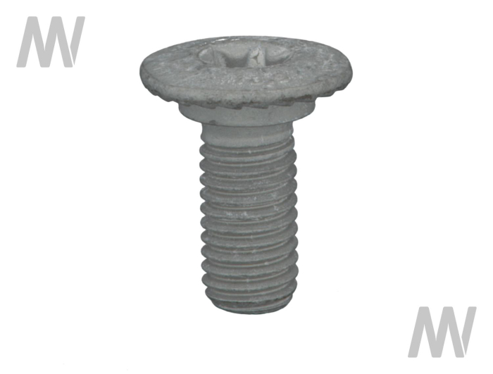 Torx screw - Detail 1