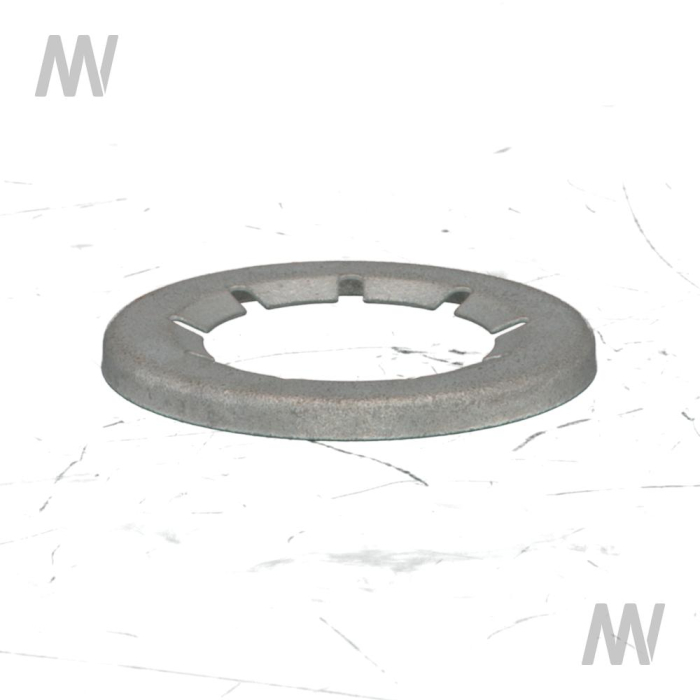 locking screw 22 STARLOCK 22x36.5 - Detail 1