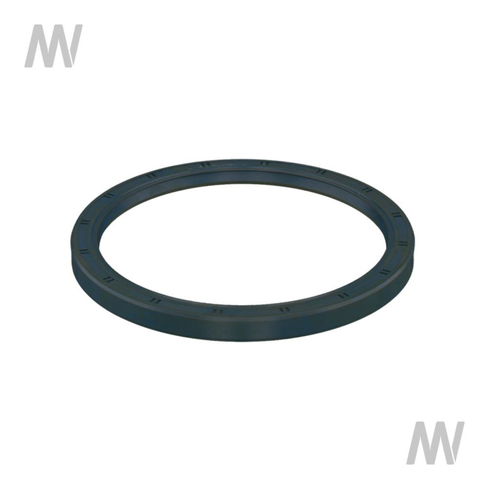 seal ring - Detail 1
