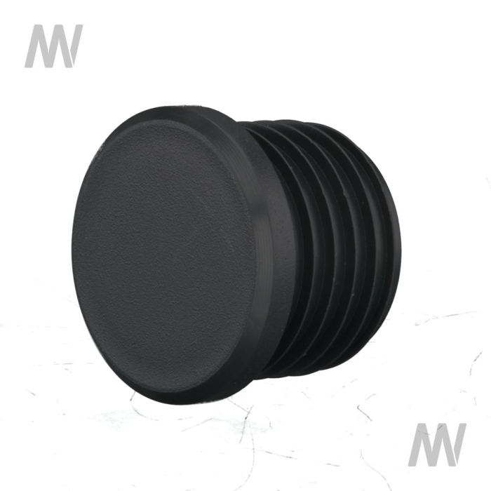 Plug GLZ 1,25" (42.4x3.25) d=35 - Detail 1
