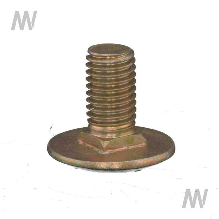 Flachrundschraube - Detail 1