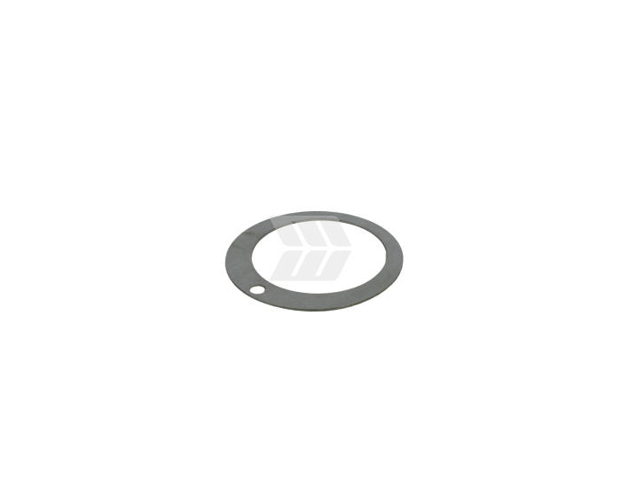 Ring - Detail 1