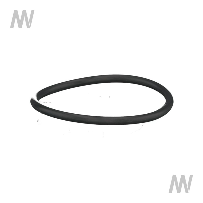 O-Ring - Detail 1