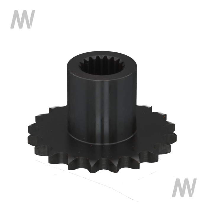 Kettenrad - Detail 1