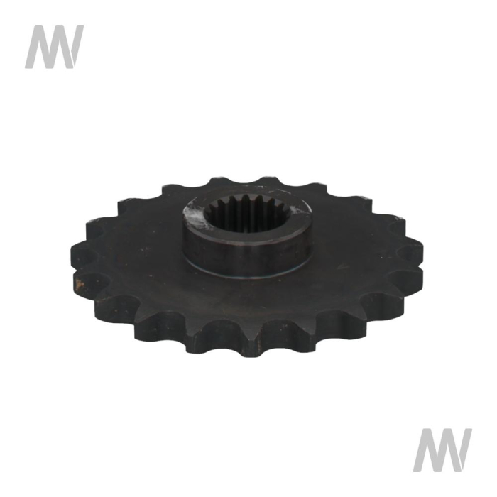 Kettenrad 19Z - Detail 1