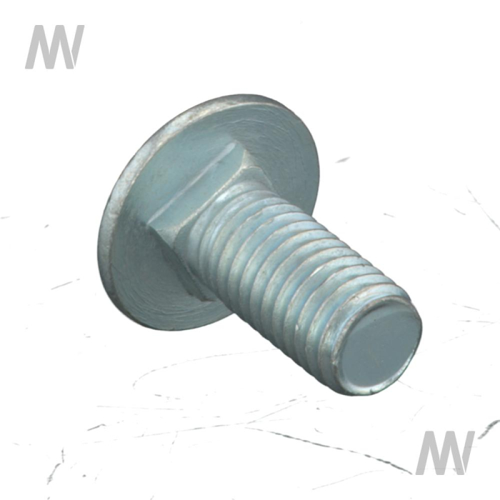 Flachrundschraube - Detail 1