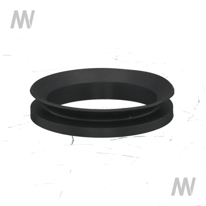 V-Ring - Detail 1
