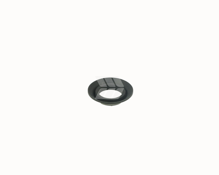 Ring - Detail 1