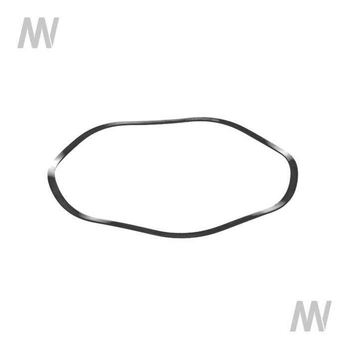 Wellfeder - Detail 1