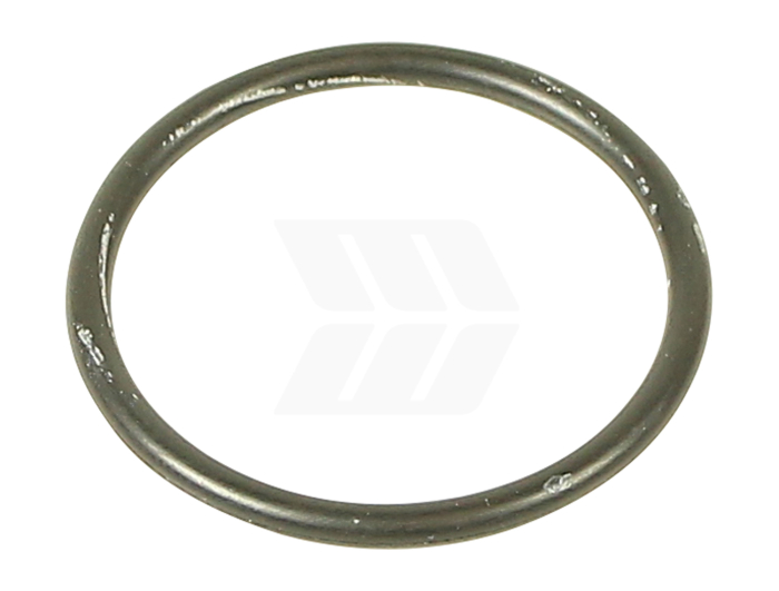 O-RING - Detail 1