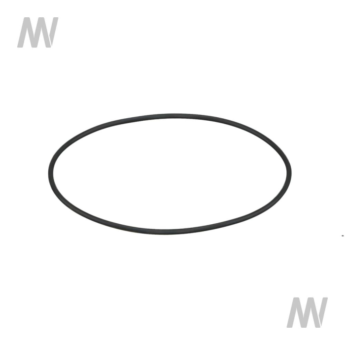 O-RING - Detail 1