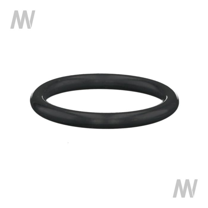 O-RING - Detail 1
