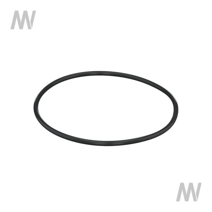 O-RING - Detail 1