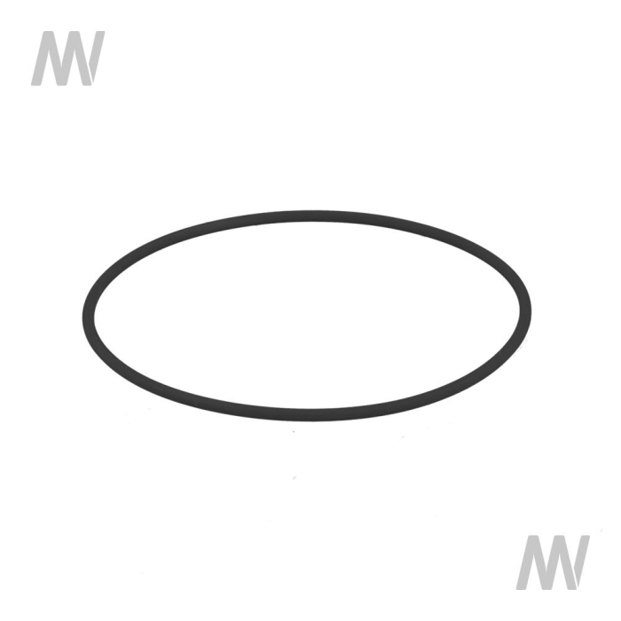 O-RING - Detail 1