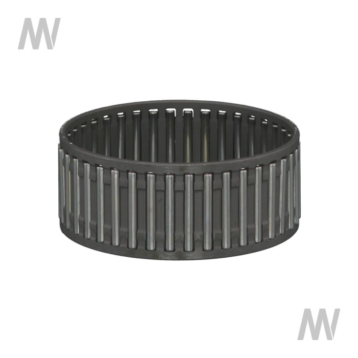 NADELKAEFIG - Detail 1