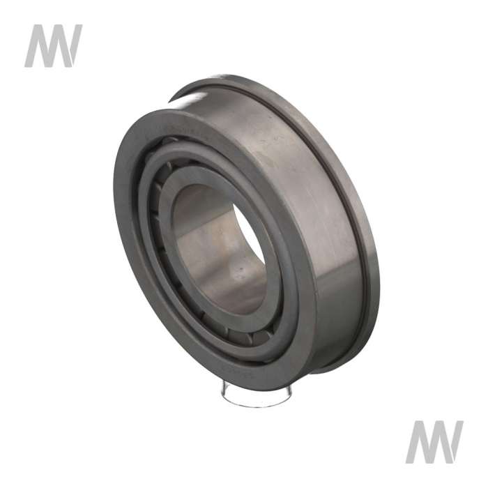 Rollenlager - Detail 1