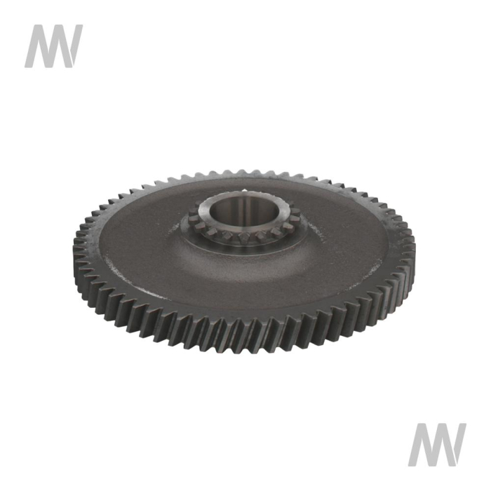 Zahnrad 66 Zaehne - Detail 1