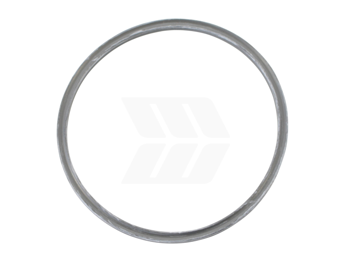 Ring - Detail 1