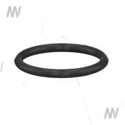 O-Ring - More 2